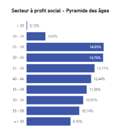 Secteur à profil social - Pyramide des âges 