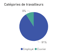 Catégories par travailleurs : 9 % ouvrier et 91 % employé 