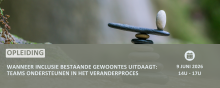 Wanneer inclusie bestaande gewoontes uitdaagt